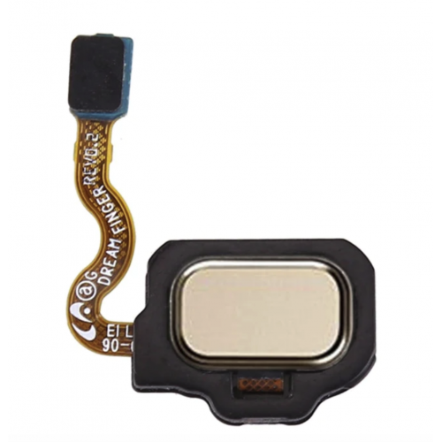 Flex de Lector de Huella para Samsung galaxy S8 G950 / S8 Plus g955